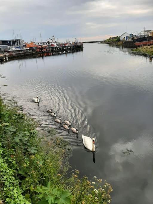 Stunning Riverside Town House With Views Ayrshire Girvan Εξωτερικό φωτογραφία